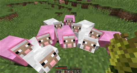 sheep breed minecraft